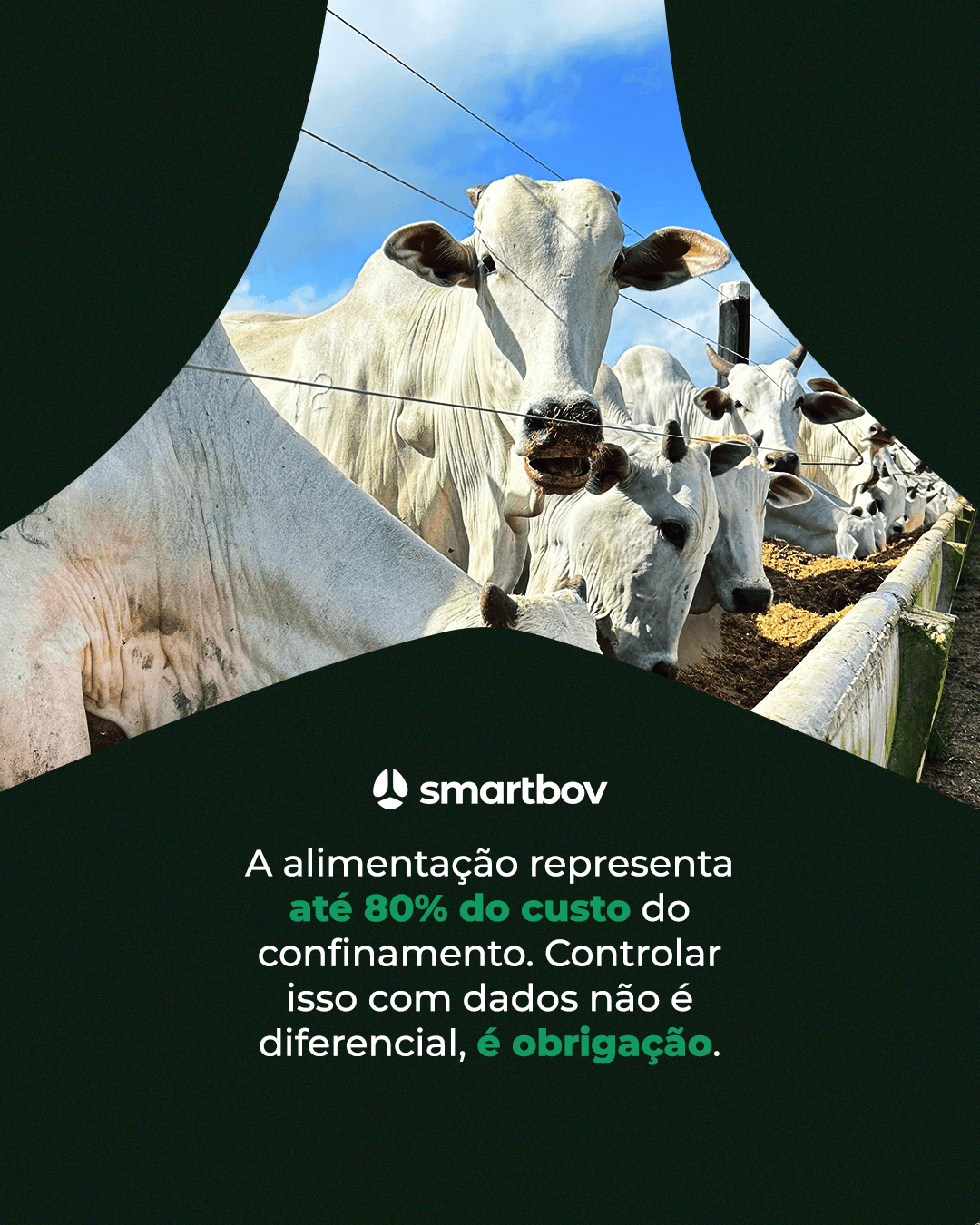 Smartbov
